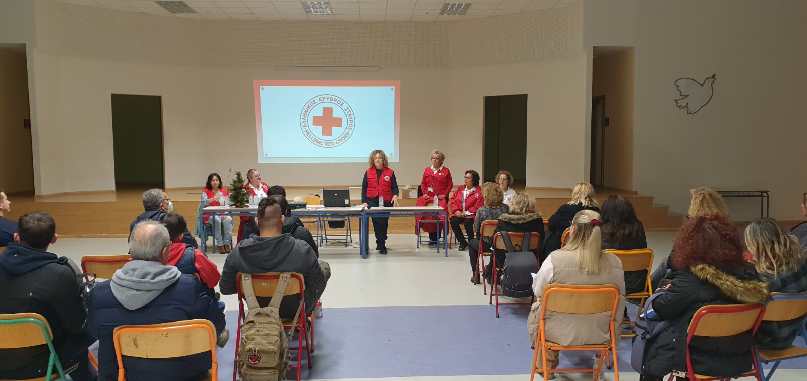 volunt11