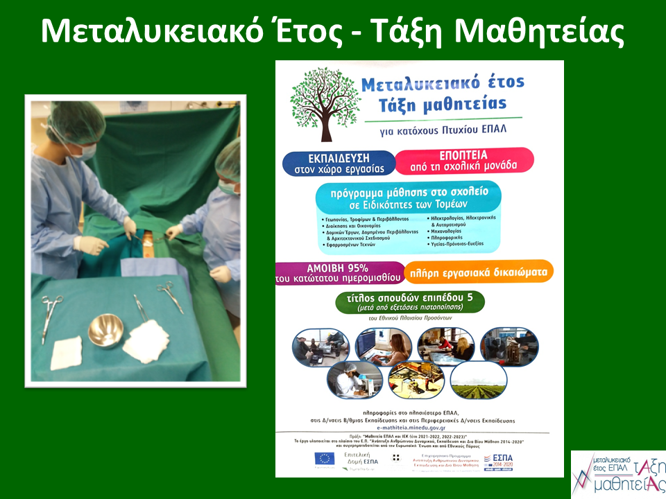 Η Μαθητεία μέσα από τα ...